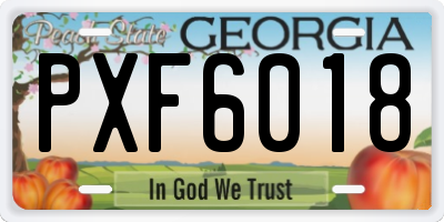 GA license plate PXF6018