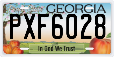 GA license plate PXF6028