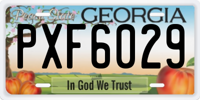 GA license plate PXF6029