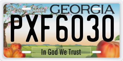 GA license plate PXF6030