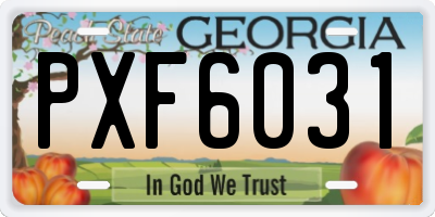 GA license plate PXF6031