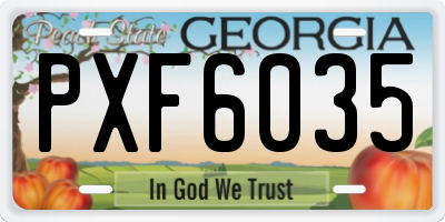 GA license plate PXF6035
