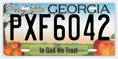 GA license plate PXF6042