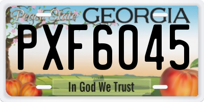 GA license plate PXF6045