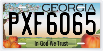 GA license plate PXF6065