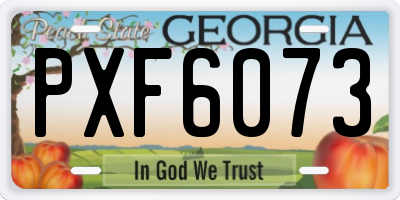 GA license plate PXF6073