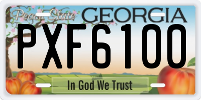 GA license plate PXF6100