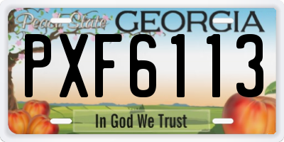 GA license plate PXF6113