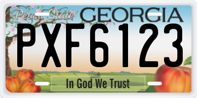 GA license plate PXF6123
