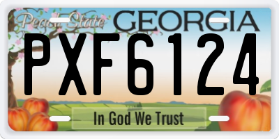 GA license plate PXF6124