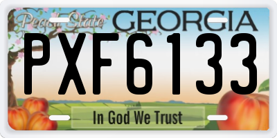 GA license plate PXF6133