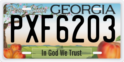 GA license plate PXF6203
