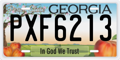 GA license plate PXF6213