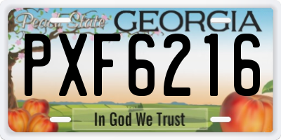 GA license plate PXF6216