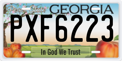 GA license plate PXF6223