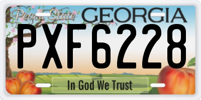 GA license plate PXF6228