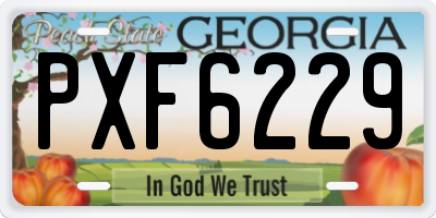 GA license plate PXF6229