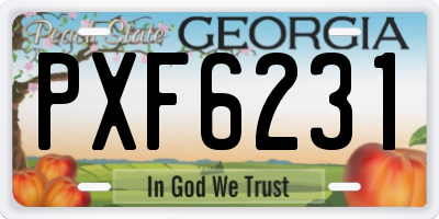 GA license plate PXF6231