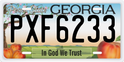 GA license plate PXF6233