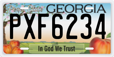 GA license plate PXF6234