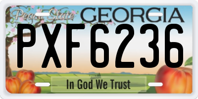 GA license plate PXF6236