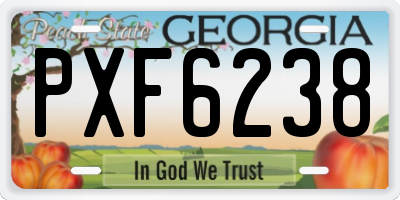 GA license plate PXF6238