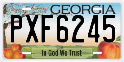GA license plate PXF6245