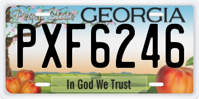 GA license plate PXF6246