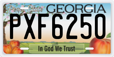 GA license plate PXF6250