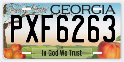 GA license plate PXF6263