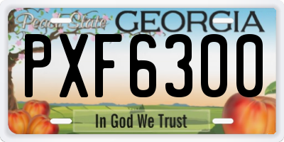 GA license plate PXF6300