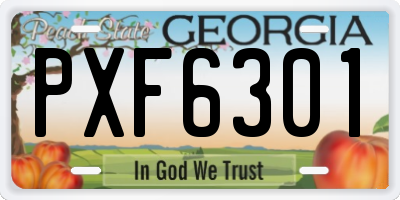 GA license plate PXF6301