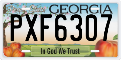 GA license plate PXF6307