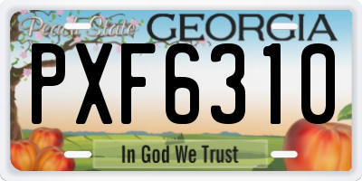 GA license plate PXF6310