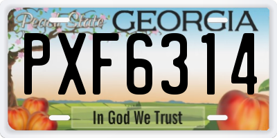 GA license plate PXF6314