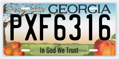 GA license plate PXF6316