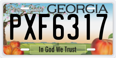 GA license plate PXF6317