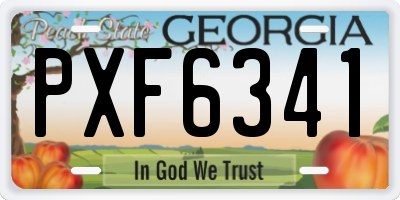 GA license plate PXF6341
