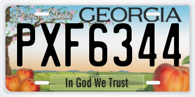 GA license plate PXF6344