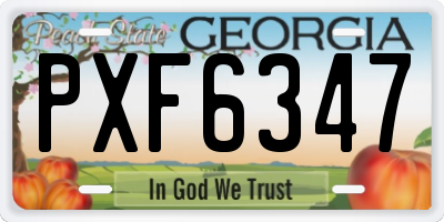 GA license plate PXF6347