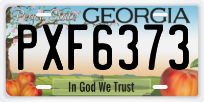GA license plate PXF6373