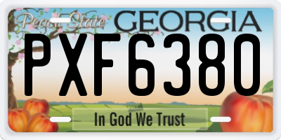 GA license plate PXF6380