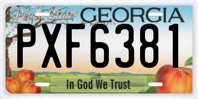 GA license plate PXF6381