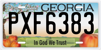 GA license plate PXF6383