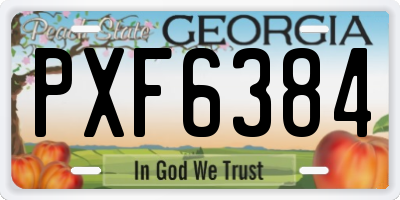 GA license plate PXF6384