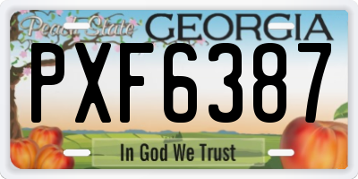 GA license plate PXF6387