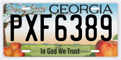 GA license plate PXF6389