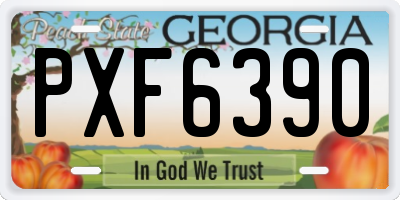 GA license plate PXF6390
