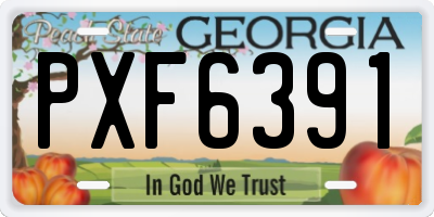 GA license plate PXF6391