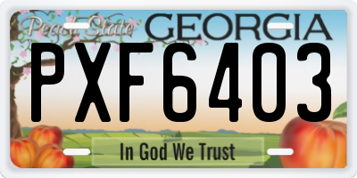 GA license plate PXF6403